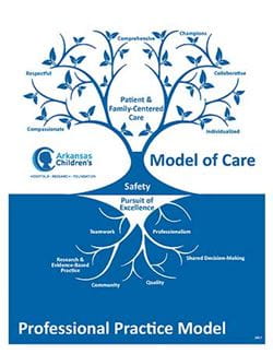 Modle of Care