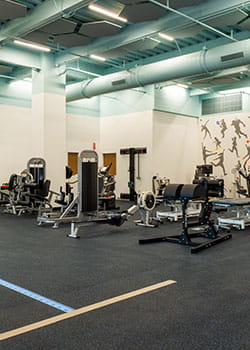 Orthopedics and sports medicine rehab exercise equipment.